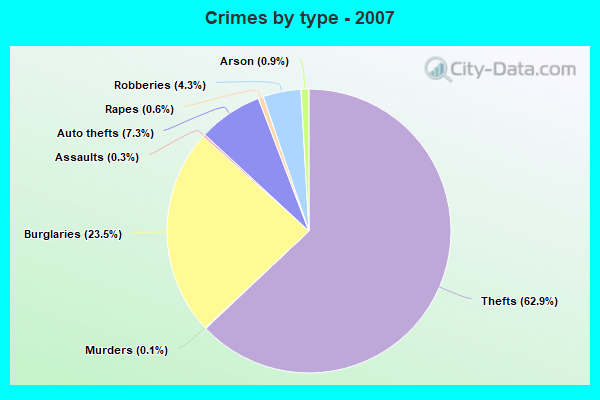 Crimes by type - 2007