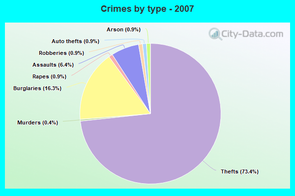 Crimes by type - 2007