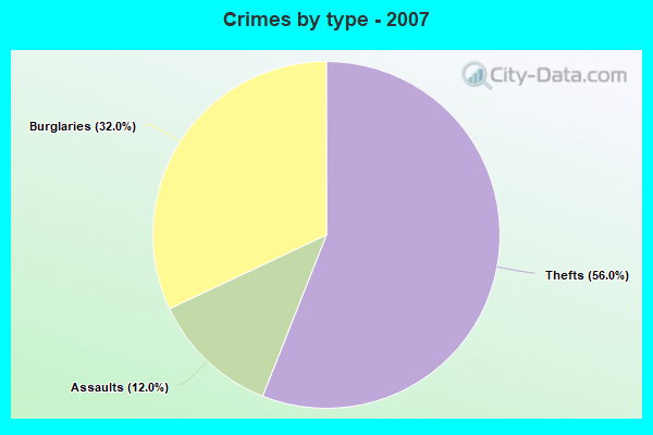 Crimes by type - 2007