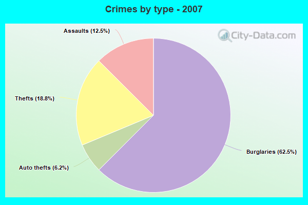 Crimes by type - 2007