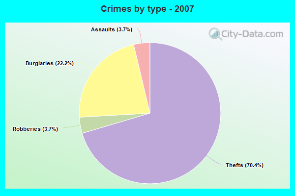 Crimes by type - 2007