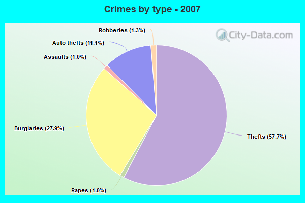 Crimes by type - 2007