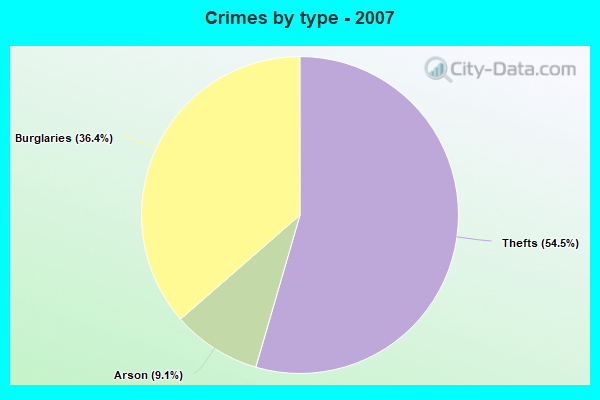 Crimes by type - 2007