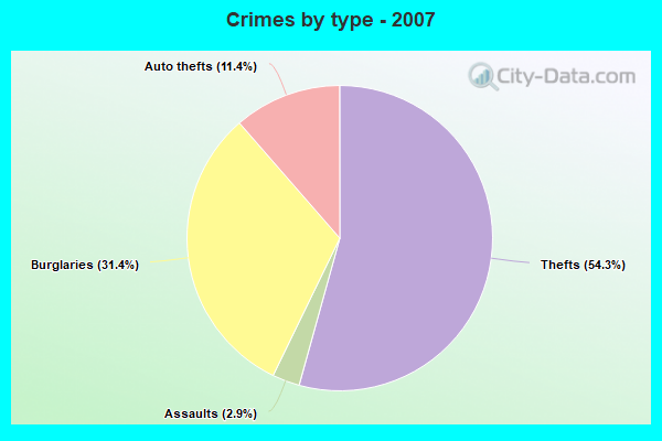 Crimes by type - 2007