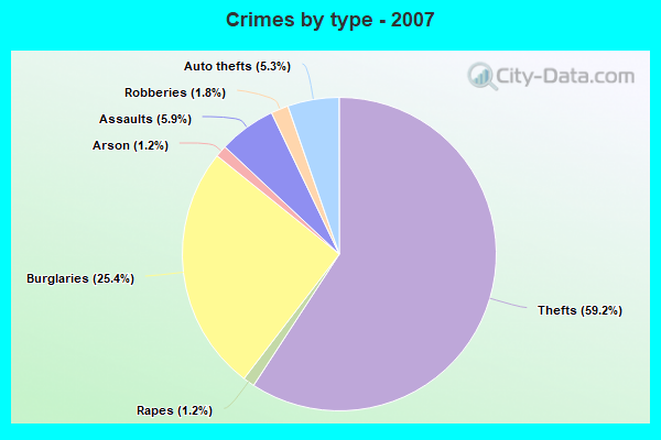 Crimes by type - 2007