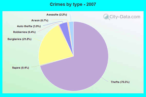 Crimes by type - 2007