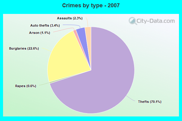 Crimes by type - 2007