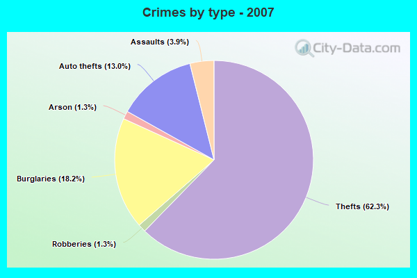 Crimes by type - 2007