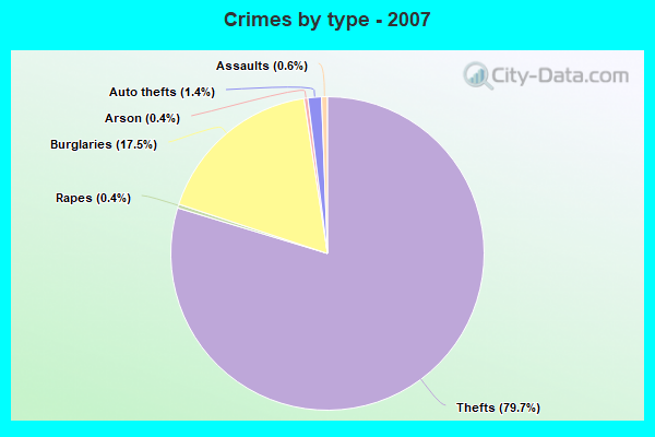 Crimes by type - 2007