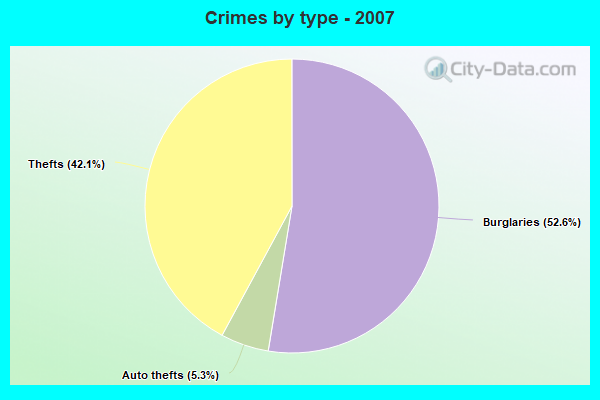 Crimes by type - 2007