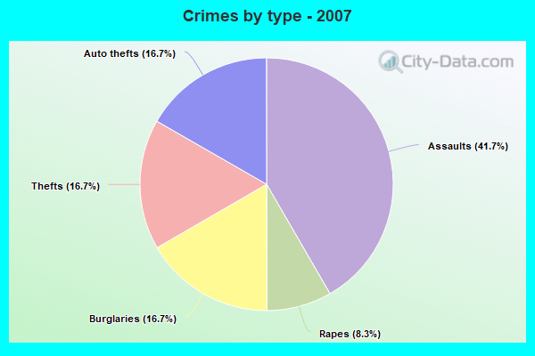 Crimes by type - 2007