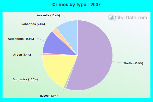 Crimes by type - 2007