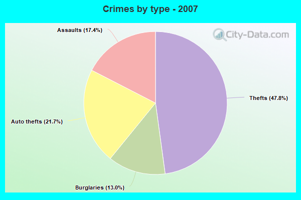 Crimes by type - 2007