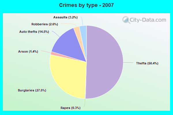 Crimes by type - 2007