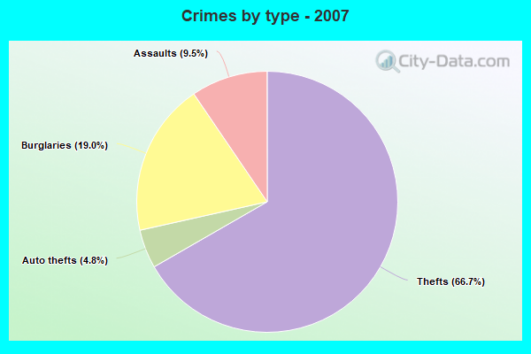 Crimes by type - 2007