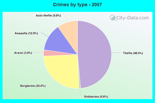 Crimes by type - 2007