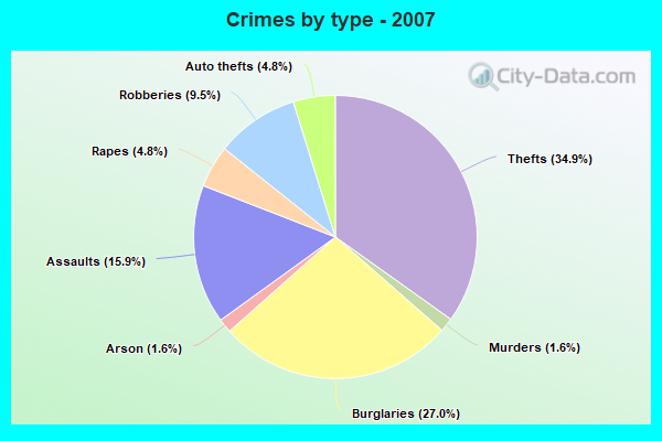 Crimes by type - 2007