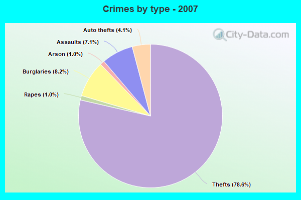 Crimes by type - 2007