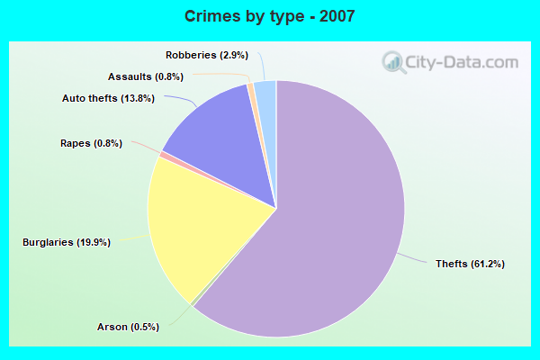 Crimes by type - 2007