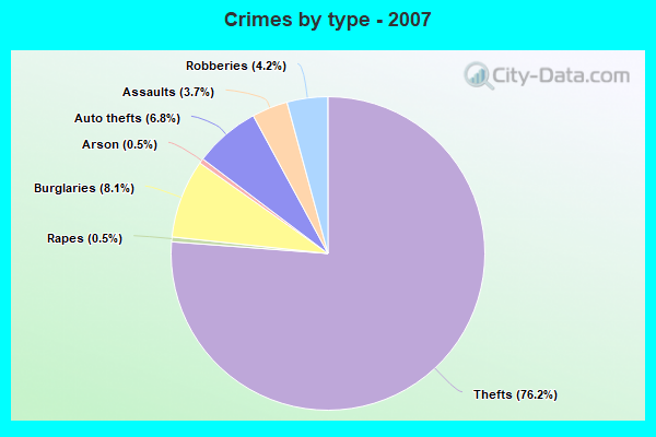 Crimes by type - 2007