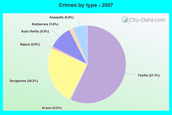 Crimes by type - 2007