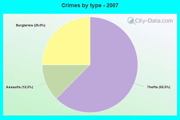 Crimes by type - 2007