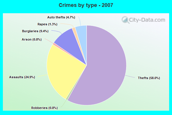 Crimes by type - 2007