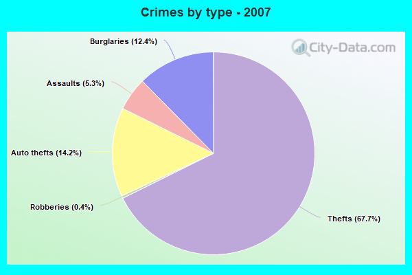 Crimes by type - 2007