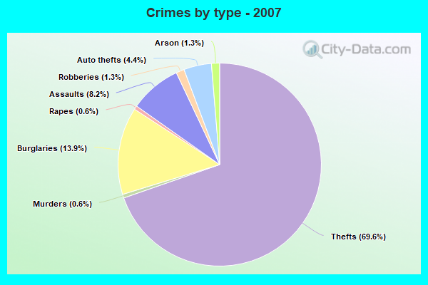 Crimes by type - 2007