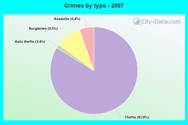 Crimes by type - 2007