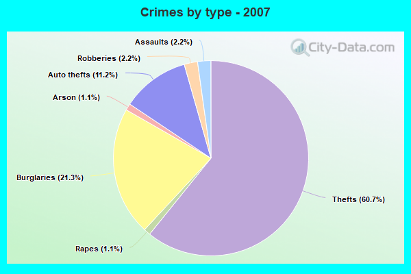 Crimes by type - 2007