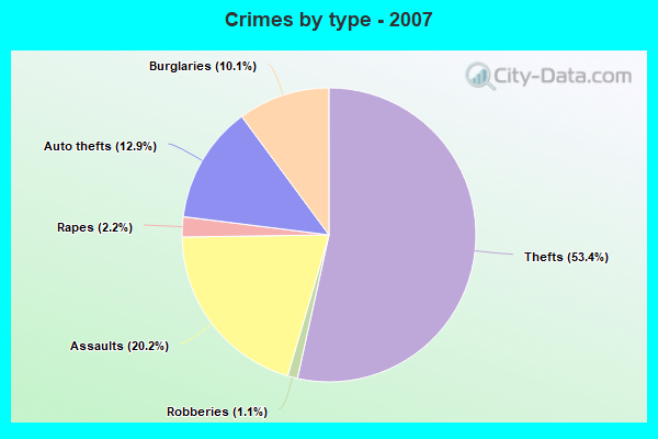 Crimes by type - 2007