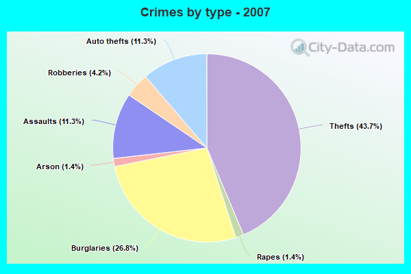 Crimes by type - 2007