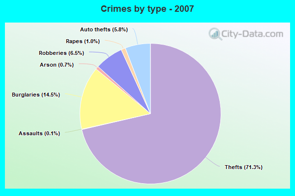 Crimes by type - 2007