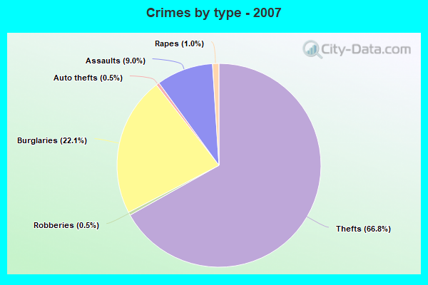 Crimes by type - 2007