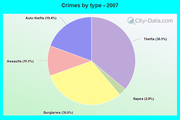 Crimes by type - 2007