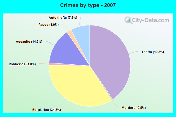 Crimes by type - 2007