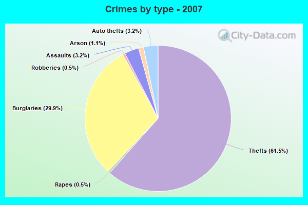 Crimes by type - 2007