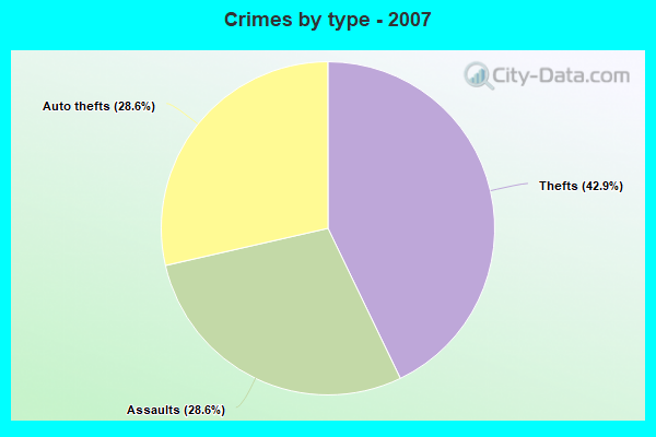 Crimes by type - 2007