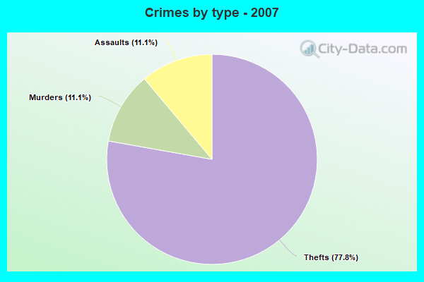 Crimes by type - 2007