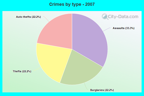 Crimes by type - 2007