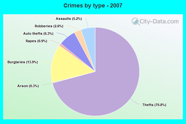 Crimes by type - 2007