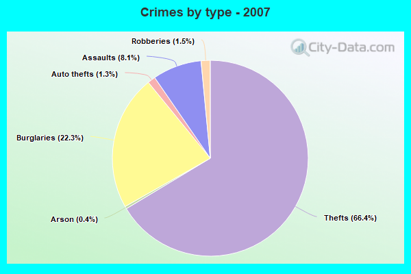 Crimes by type - 2007