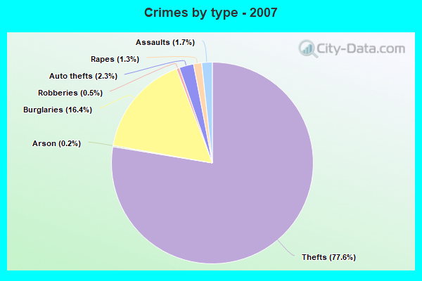 Crimes by type - 2007