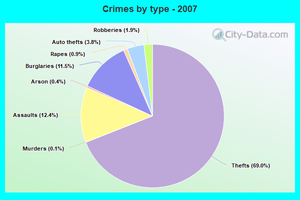 Crimes by type - 2007