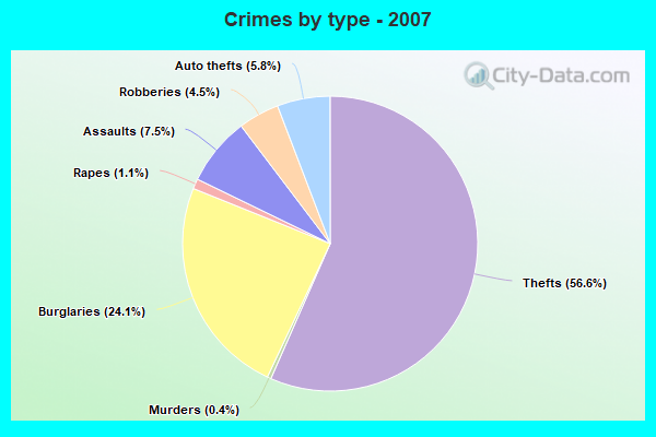 Crimes by type - 2007