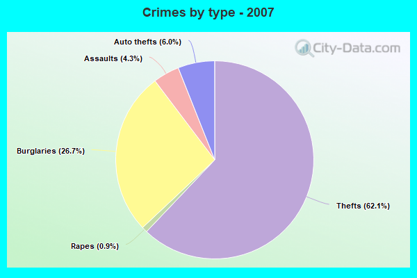 Crimes by type - 2007