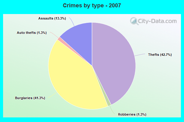 Crimes by type - 2007