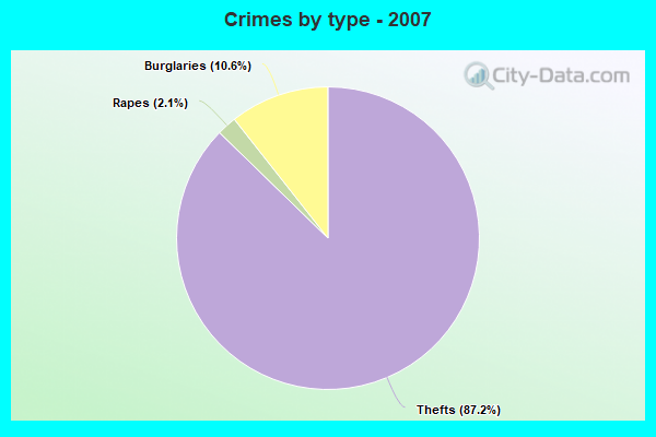 Crimes by type - 2007