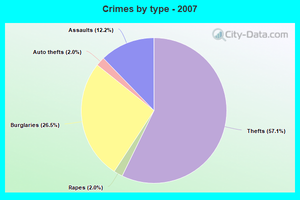 Crimes by type - 2007